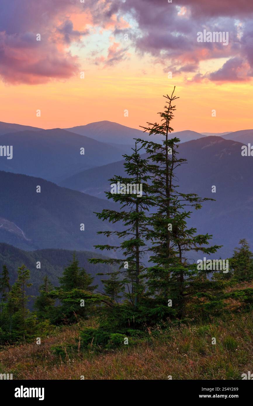 Profilo di montagna sul cielo della sera (con le nuvole) sfondo. Estate tramonto crepuscolo fine (Carpazi, Ucraina). Foto Stock