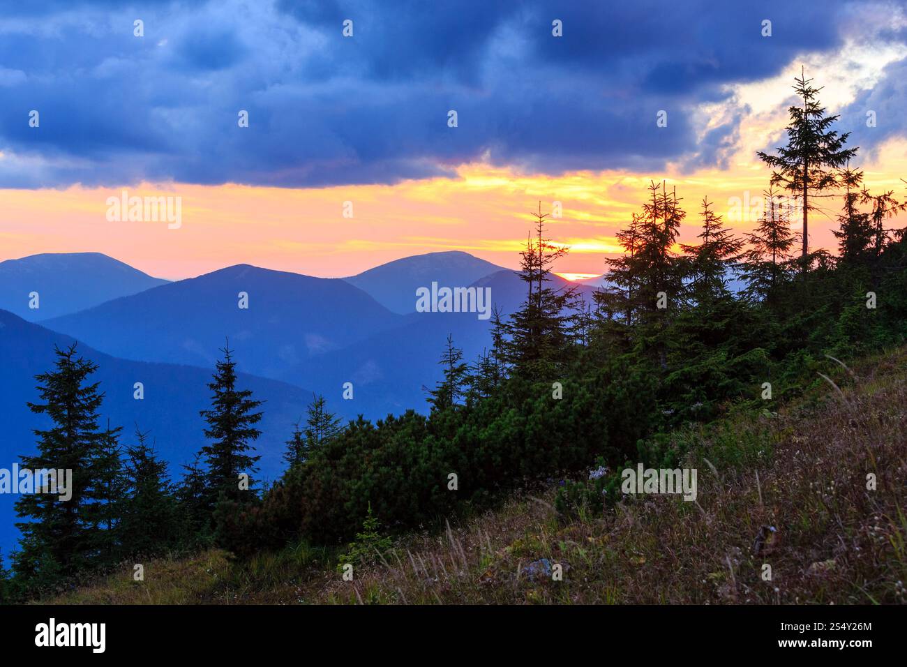 Profilo di montagna sul cielo della sera (con le nuvole) sfondo. Estate tramonto crepuscolo fine (Carpazi, Ucraina). Foto Stock