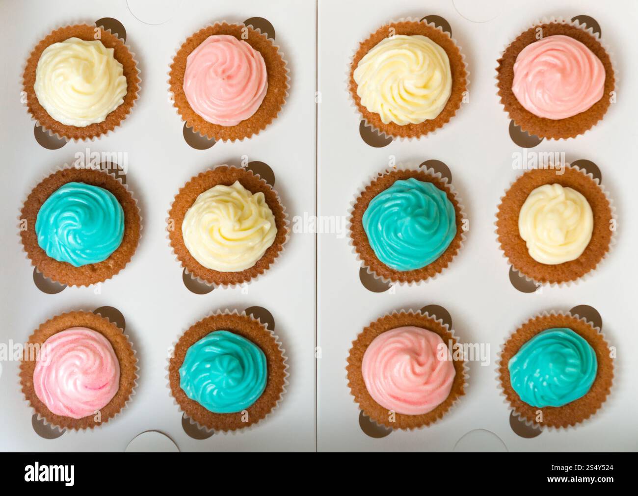 Vista da sopra il blu, rosa e bianco appena sfornato tortine con crema di burro Foto Stock