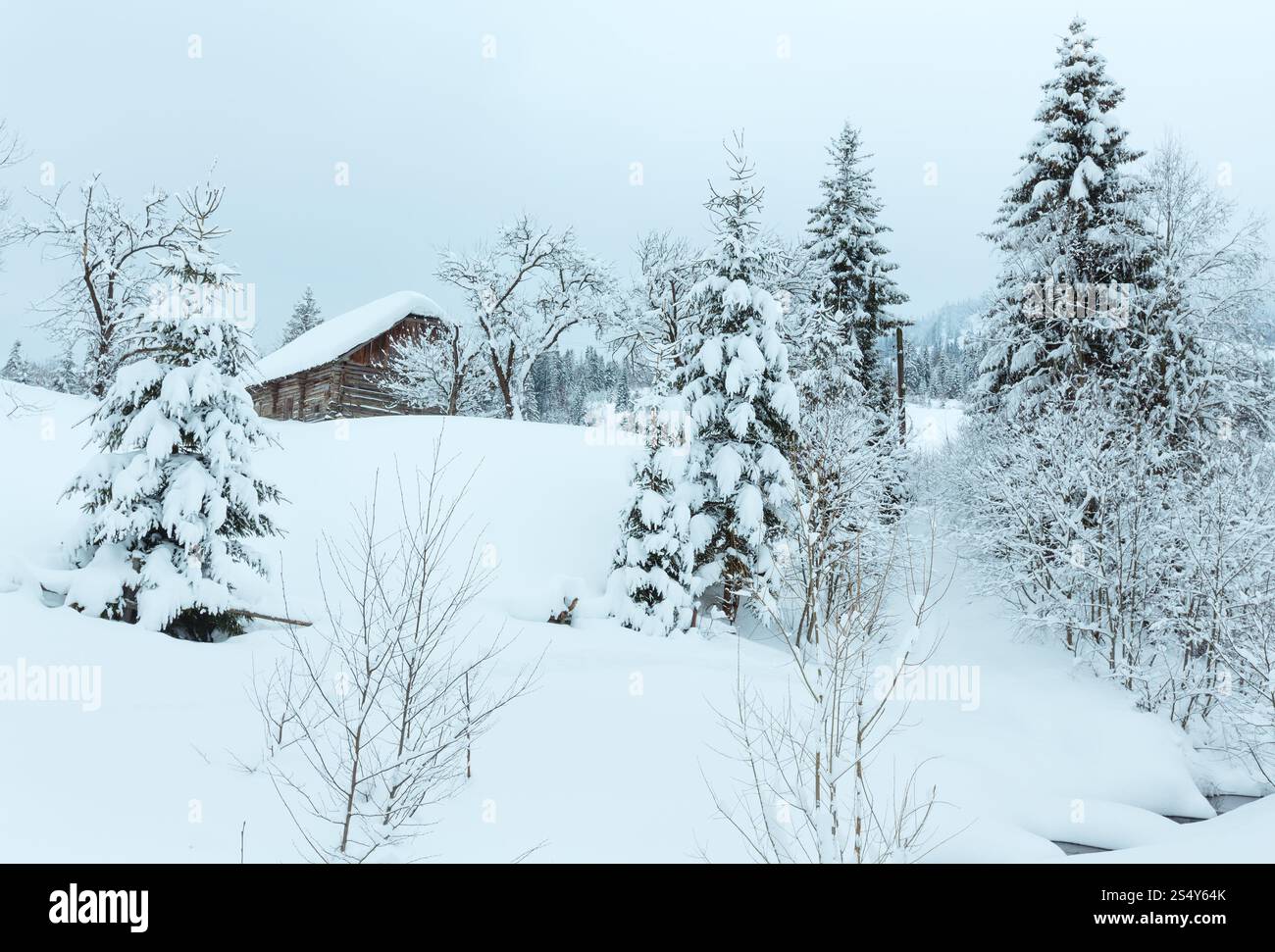 Brook in cumuli di neve e casa in legno sul pendio di inverno di Ucraino Montagne dei Carpazi in nuvoloso meteo. Foto Stock