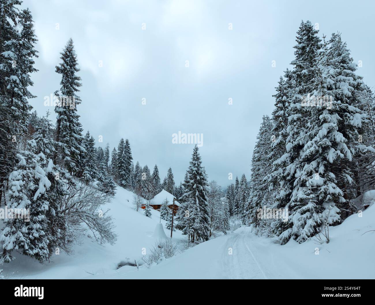 Casa in legno, strada rurale e nevoso bosco di abeti sul pendio di inverno di Ucraino Montagne dei Carpazi in nuvoloso meteo. Foto Stock