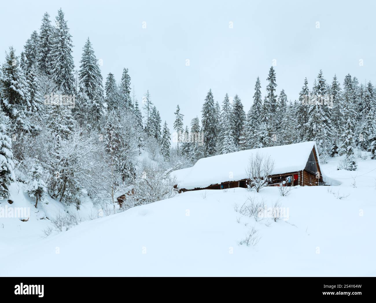 Casa in legno e nevoso bosco di abeti sul pendio di inverno di Ucraino Montagne dei Carpazi in nuvoloso meteo. Foto Stock