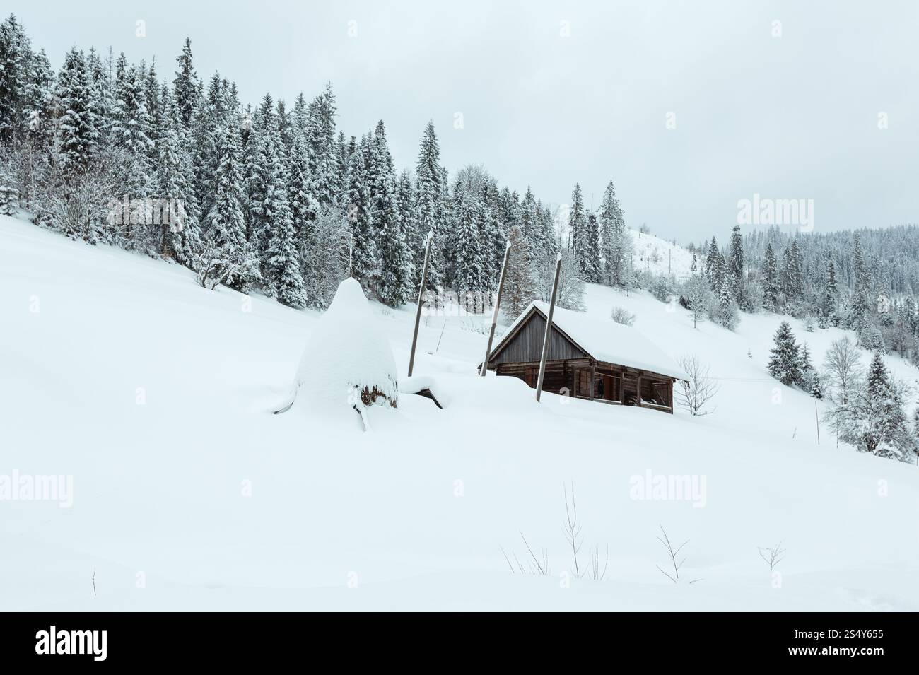 In inverno il villaggio di montagna. Casa in legno e pagliaio sotto il cumulo di neve sul pendio dei Carpazi ucraini in nuvoloso meteo. Foto Stock