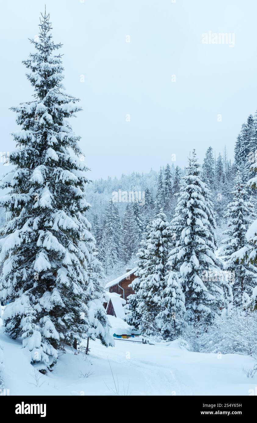 Casa in legno e colorata alveari con il cumulo di neve su tetti in inverno bosco di abeti (Ucraina, dei Carpazi). Foto Stock