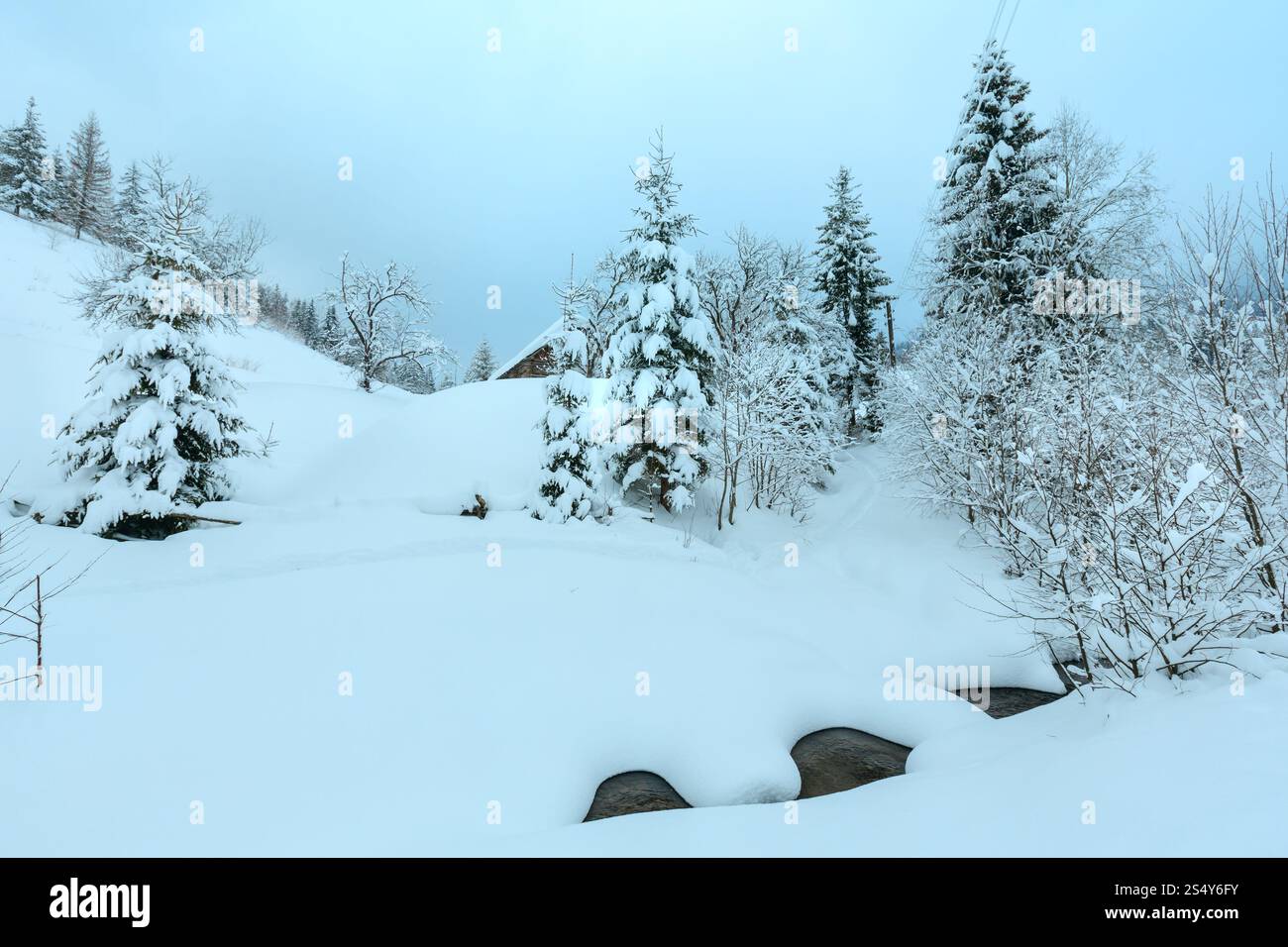 Brook in cumuli di neve e casa in legno sul pendio di inverno di Ucraino Montagne dei Carpazi in nuvoloso meteo. Foto Stock