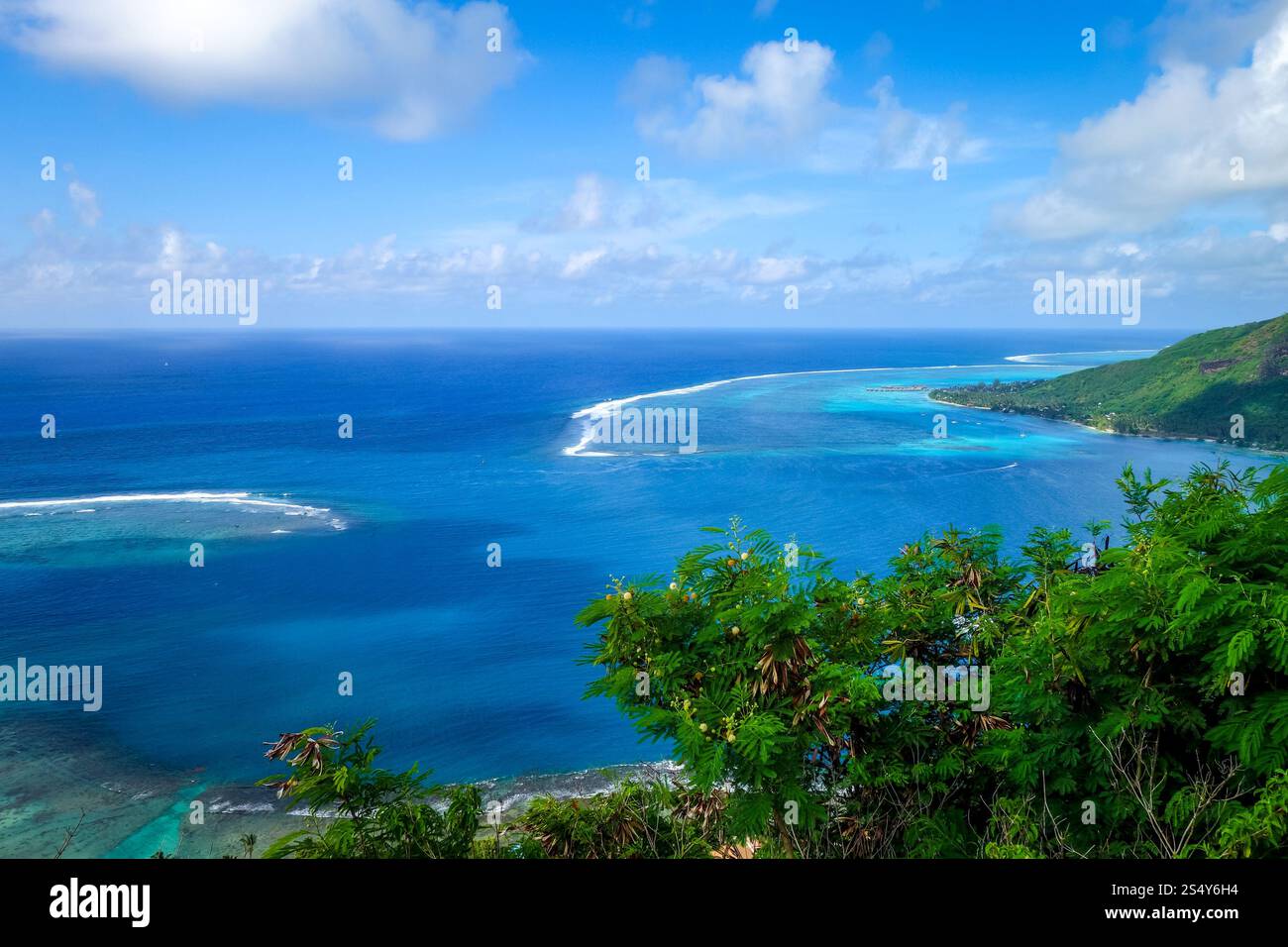 Vista aerea della baia di Opunohu e della laguna sull'isola di Moorea. Polinesia francese. Vista aerea della baia di Opunohu e della laguna sull'isola di Moorea Foto Stock