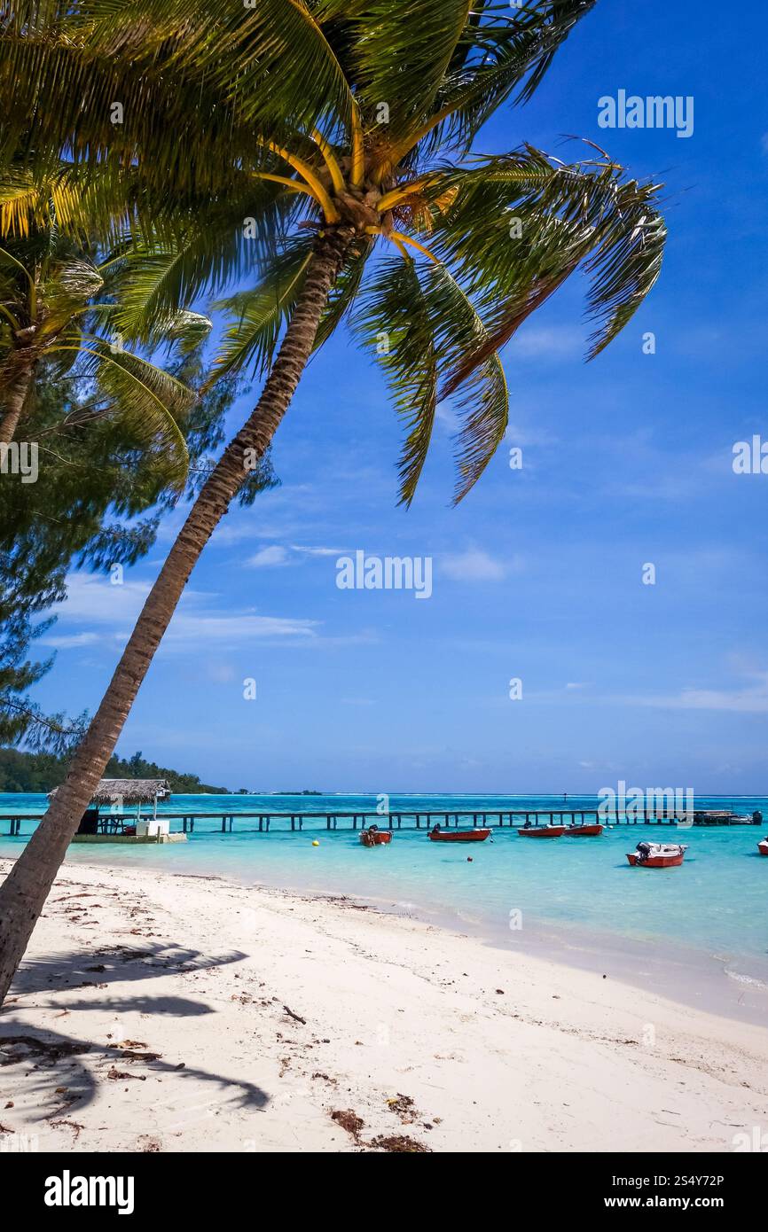 Spiaggia di sabbia bianca e molo sulla laguna dell'Isola di Moorea. Polinesia francese. Spiaggia di sabbia bianca e molo sulla laguna dell'Isola di Moorea Foto Stock