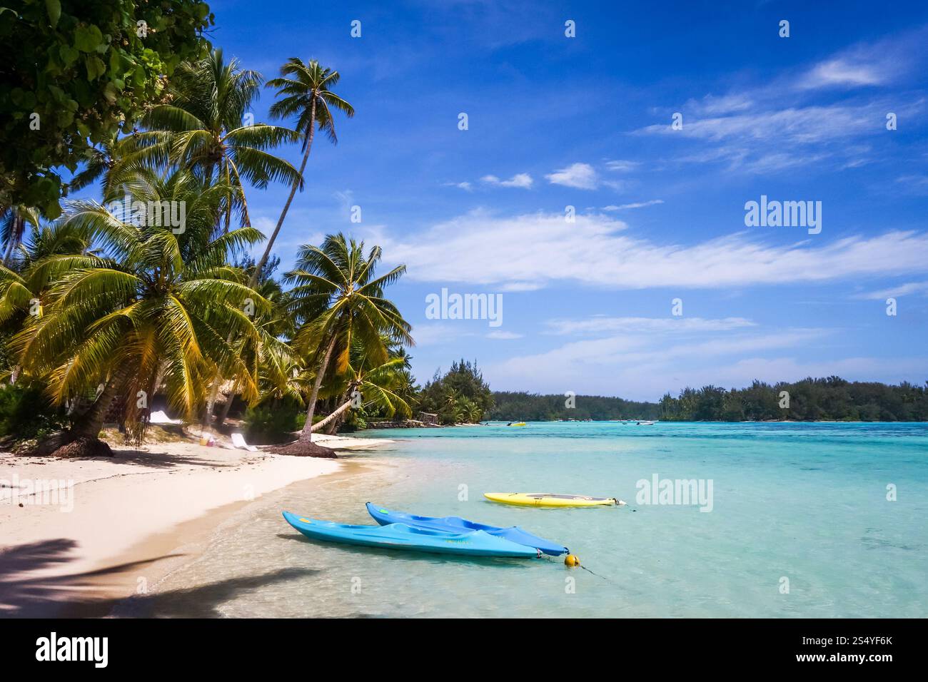 Spiaggia tropicale Paradise e laguna sull'Isola di Moorea. Polinesia francese. Spiaggia tropicale Paradise e laguna sull'Isola di Moorea Foto Stock