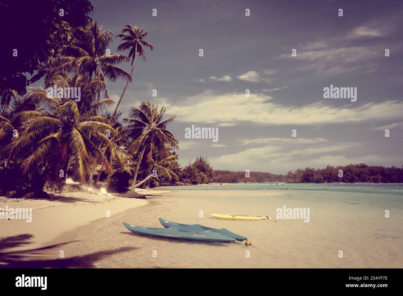 Spiaggia tropicale Paradise e laguna sull'Isola di Moorea. Polinesia francese. Spiaggia tropicale Paradise e laguna sull'Isola di Moorea Foto Stock