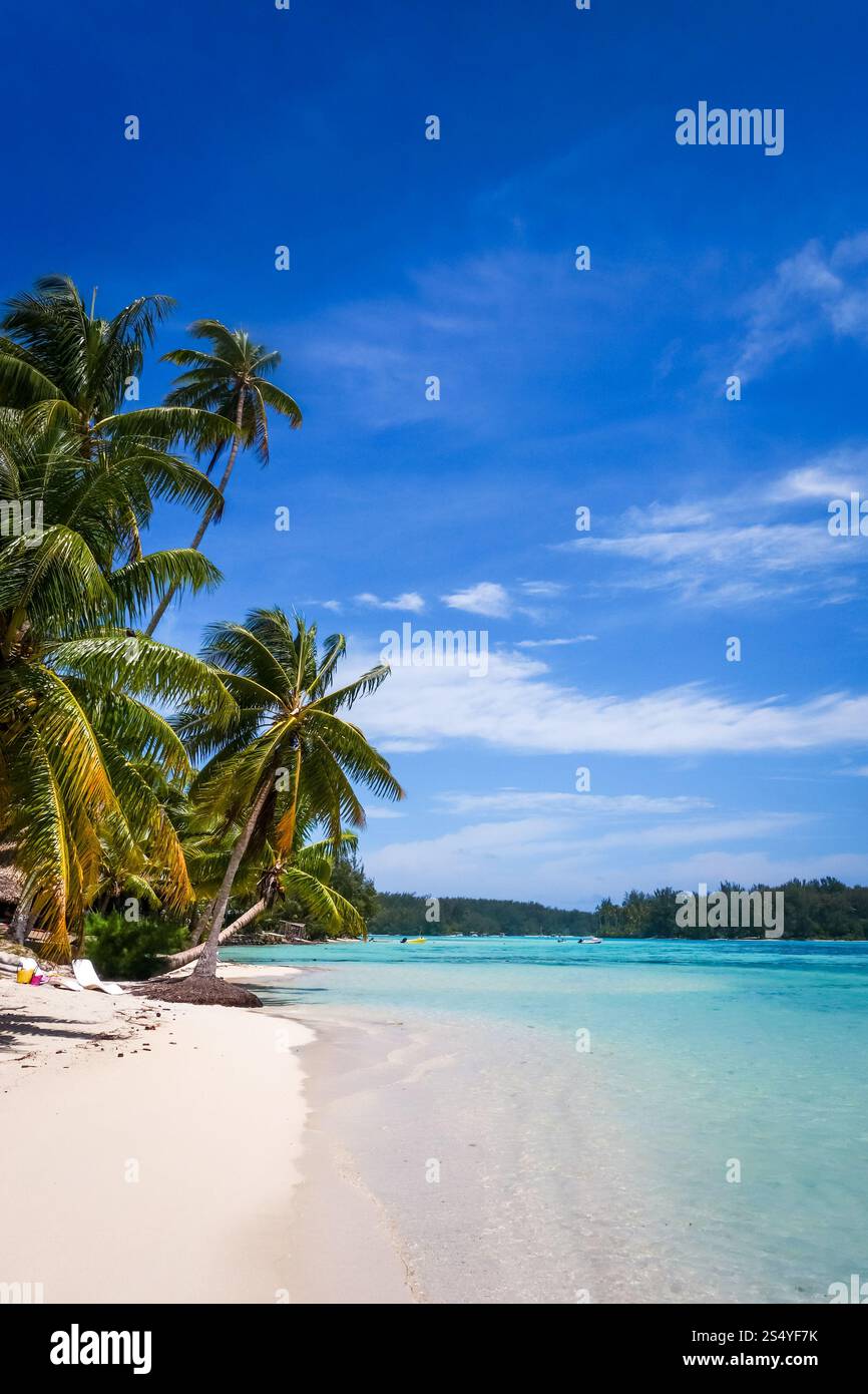 Spiaggia tropicale Paradise e laguna sull'Isola di Moorea. Polinesia francese. Spiaggia tropicale Paradise e laguna sull'Isola di Moorea Foto Stock