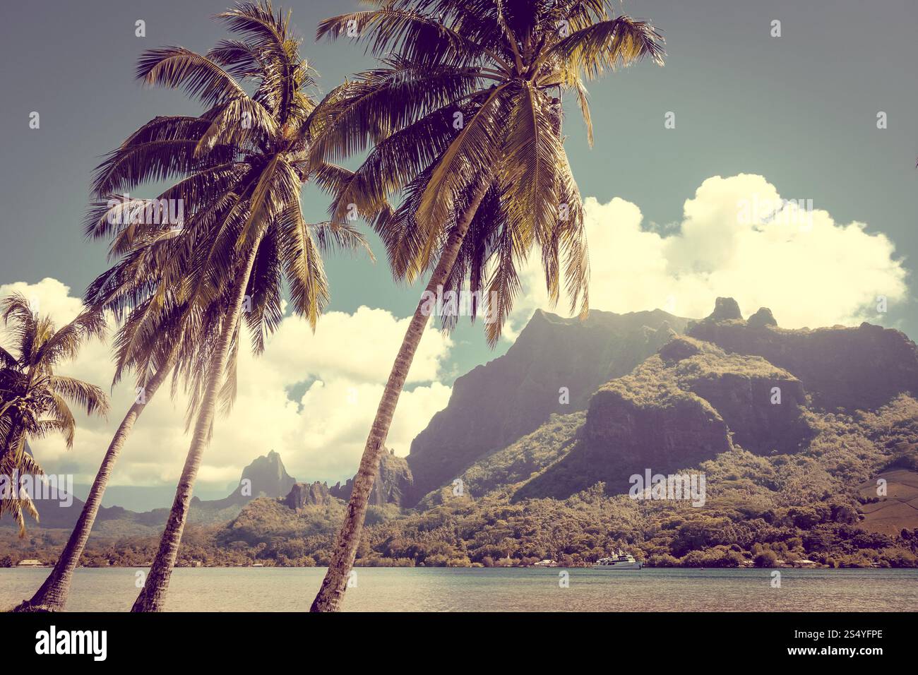 Cooka's Bay e laguna nell'Isola di Moorea. Polinesia francese. Cooka's Bay e laguna nell'Isola di Moorea Foto Stock