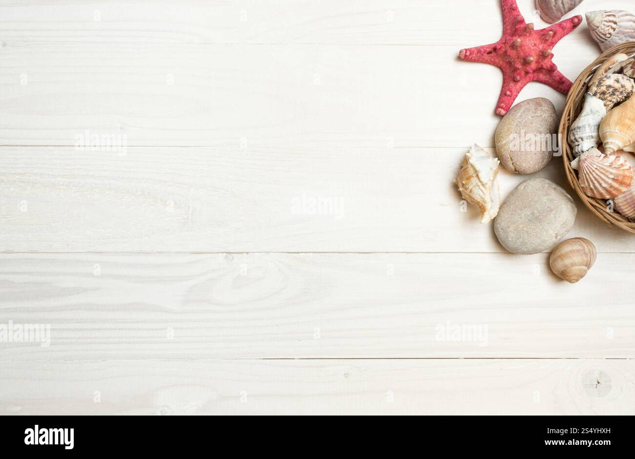 Conchiglie e stelle marine adagiate su tavole di legno bianche Foto Stock