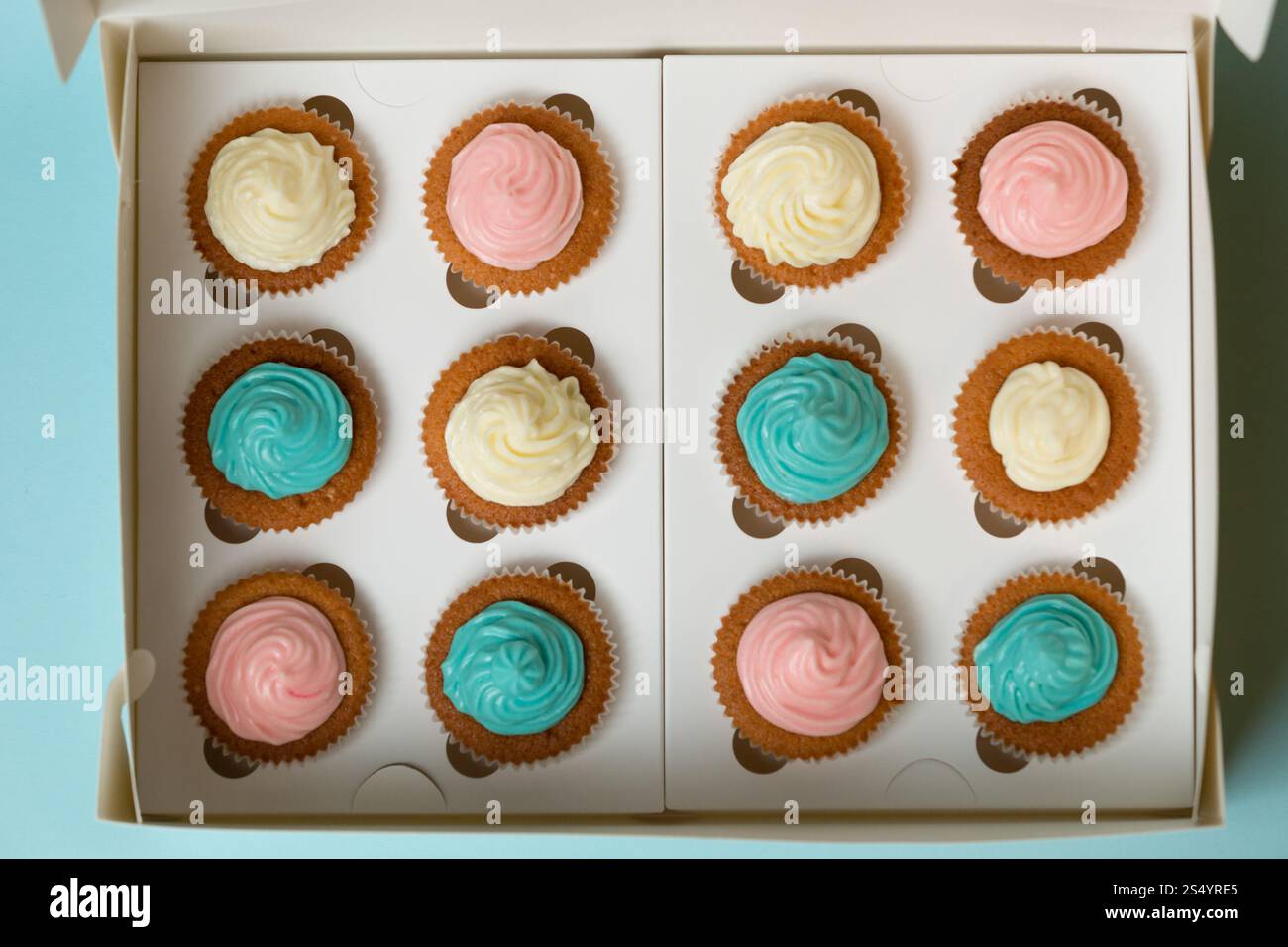 vista dall'alto sui cupcake con spruzzette e fragole nella scatola Foto Stock