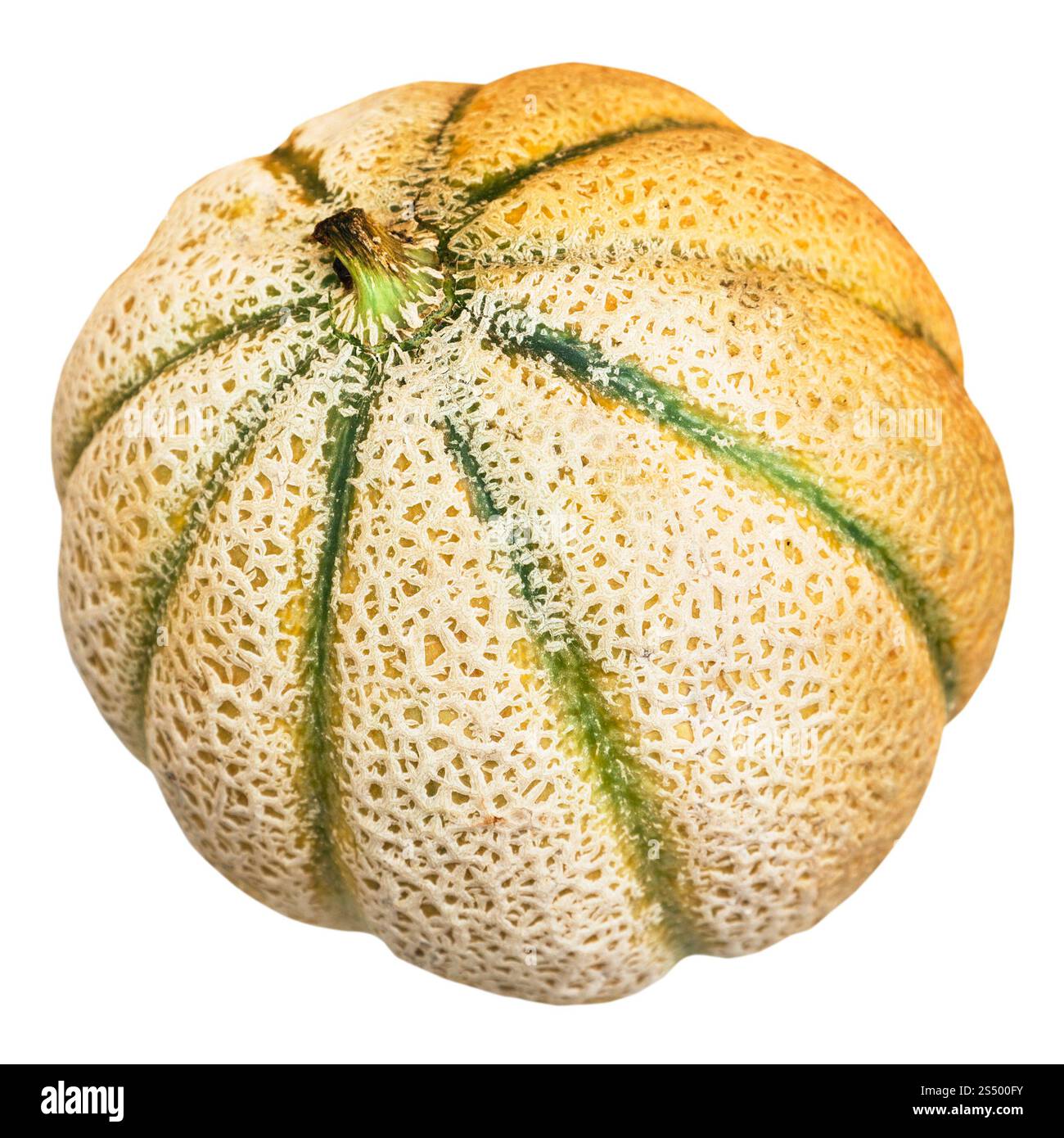 Tutto muskmelon siciliano (melone Cantalupo) isolato su sfondo bianco Foto Stock
