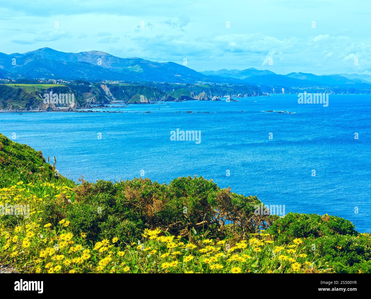 Estate Cape Video linea costiera paesaggio con fiori di colore giallo nella parte anteriore (Asturie, Cudillero, Spagna). Due colpi stitch immagine. Foto Stock