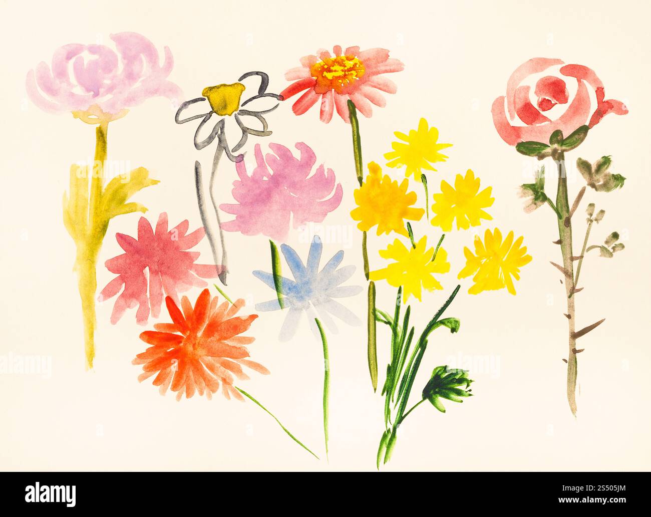 La formazione di disegno in stile suibokuga con vernici ad acquerello - vari fiori freschi su avorio carta colorata Foto Stock