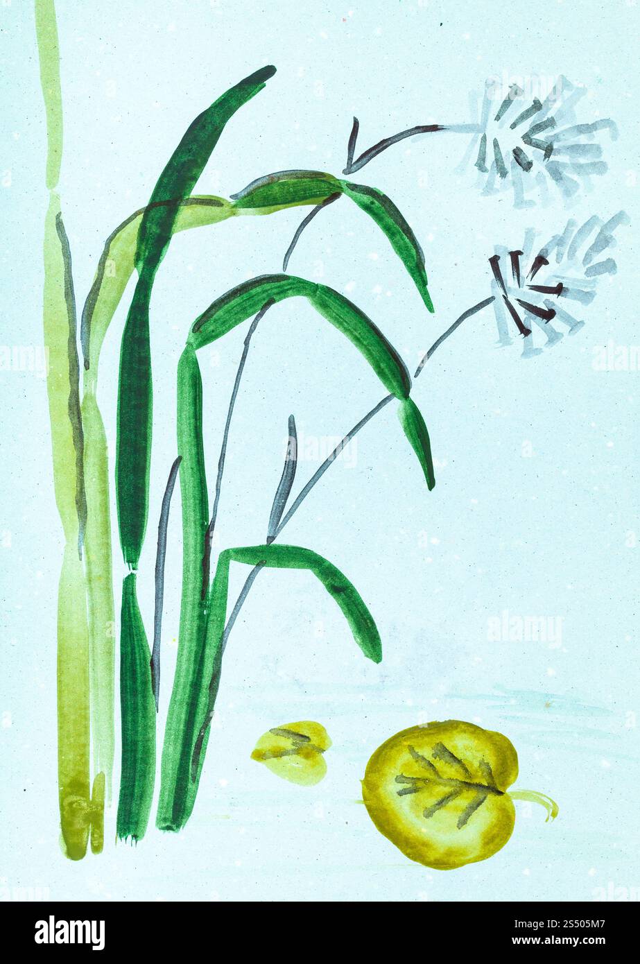 La formazione di disegno in stile suibokuga con vernici ad acquerello - la canna da zucchero e la foglia di ninfee blu su carta colorata Foto Stock