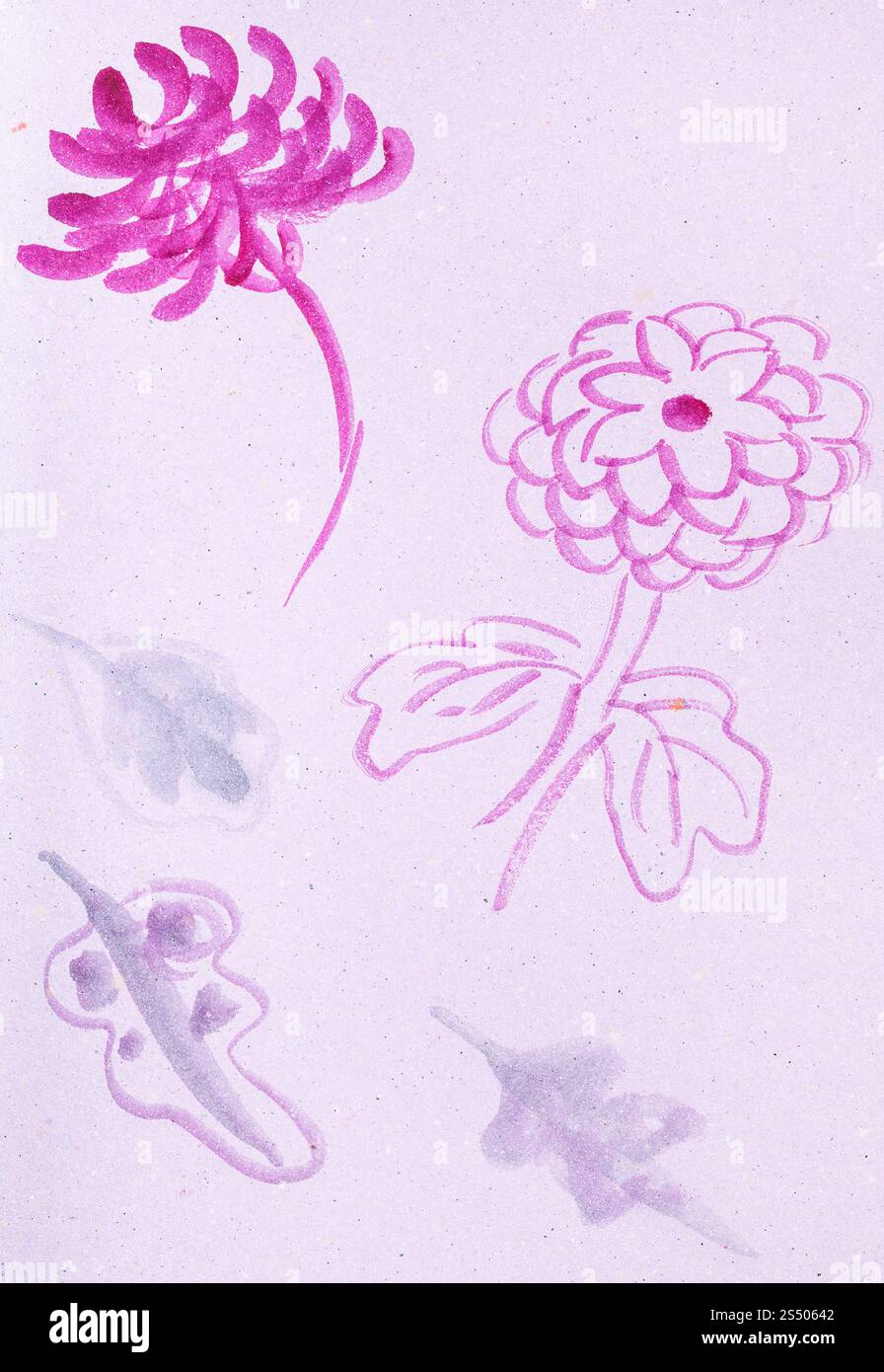 La formazione di disegno in stile suibokuga con vernici ad acquerello - schizzi di crisantemo fiori rosa su carta colorata Foto Stock