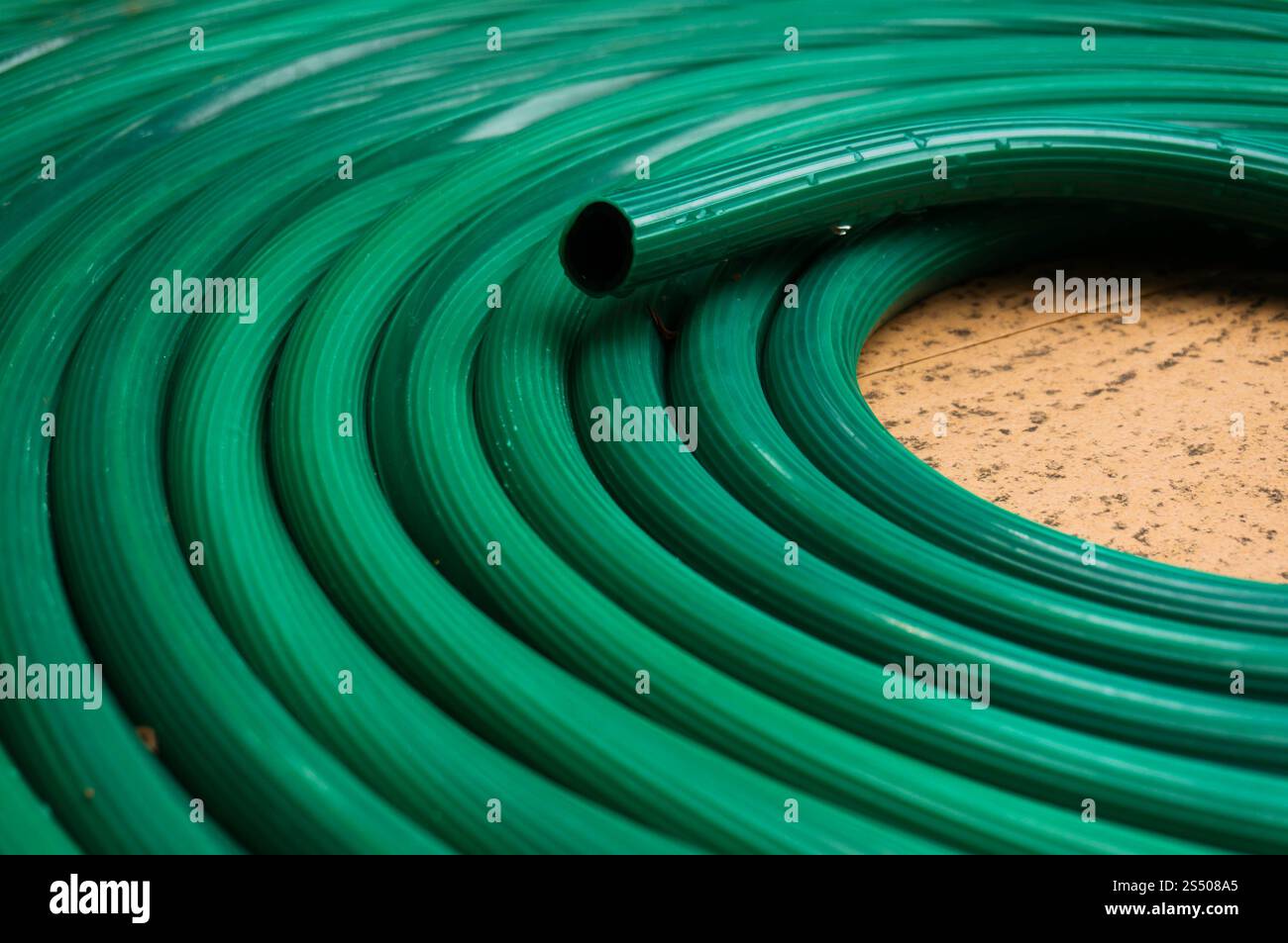 Riassunto del tubo di gomma verde Texture per innaffiare piante nel giardino. Foto Stock