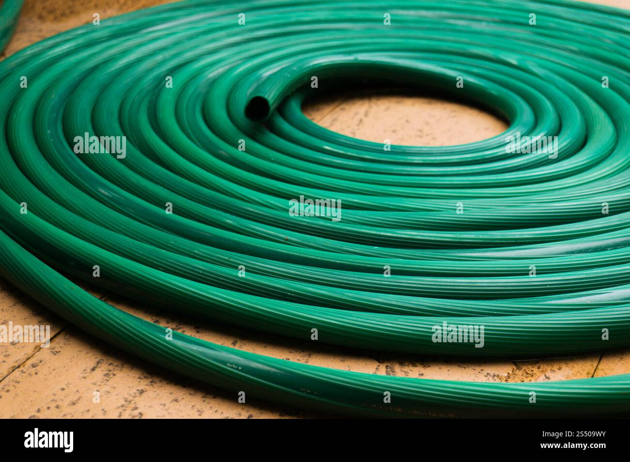 Riassunto del tubo di gomma verde Texture per innaffiare piante nel giardino. Foto Stock