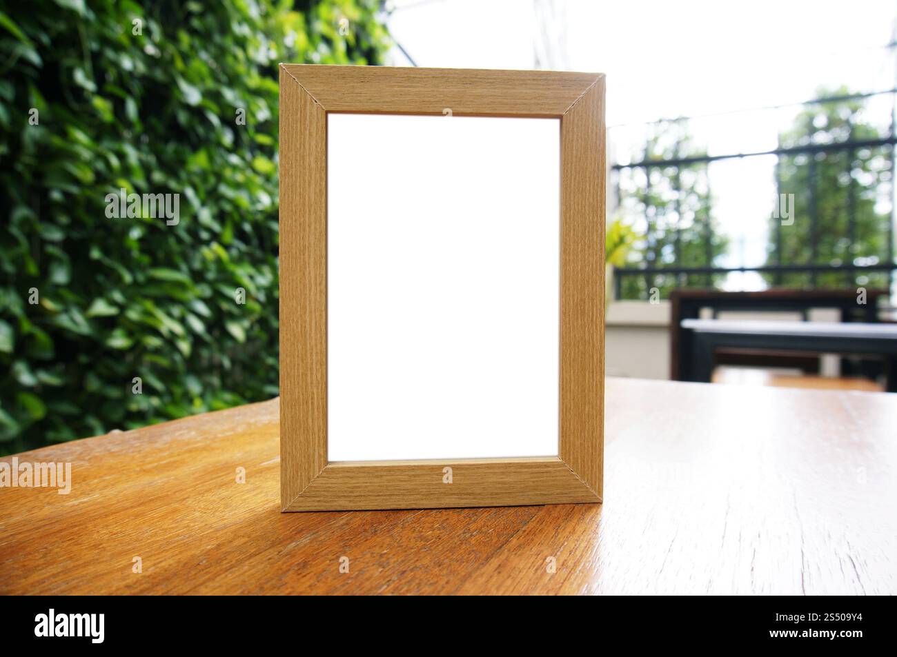 Close up delle donne mani tenendo business nome scheda vuota copia schermata dello spazio. Foto Stock