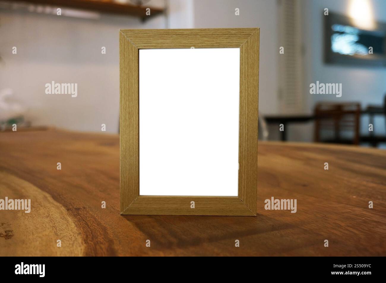 Close up delle donne mani tenendo business nome scheda vuota copia schermata dello spazio. Foto Stock