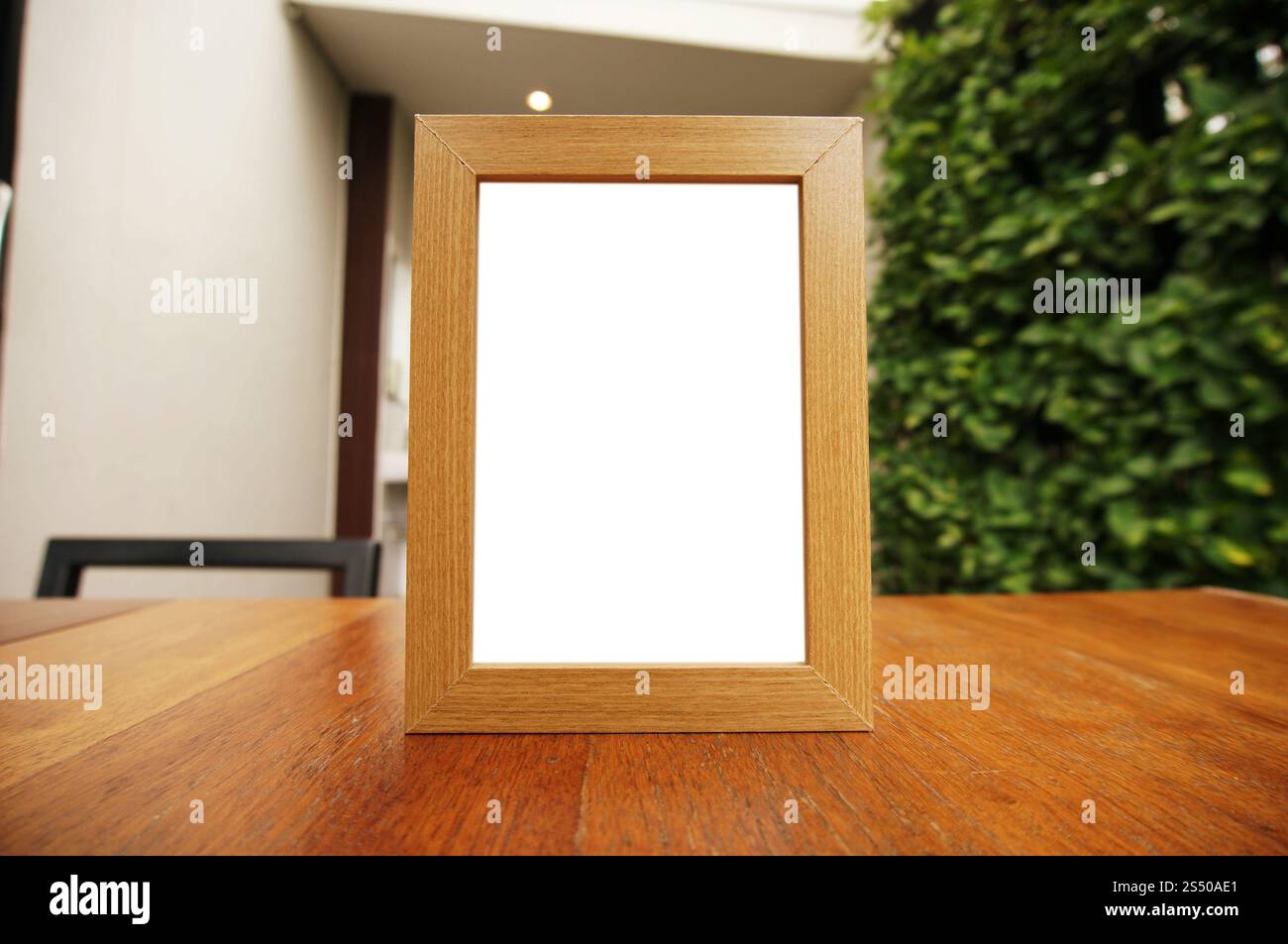 Close up delle donne mani tenendo business nome scheda vuota copia schermata dello spazio. Foto Stock