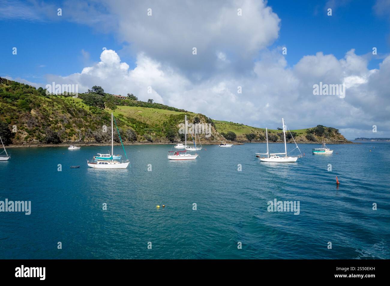 Nave a vela in Isola di Waiheke vicino a Auckland, Nuova Zelanda Foto Stock