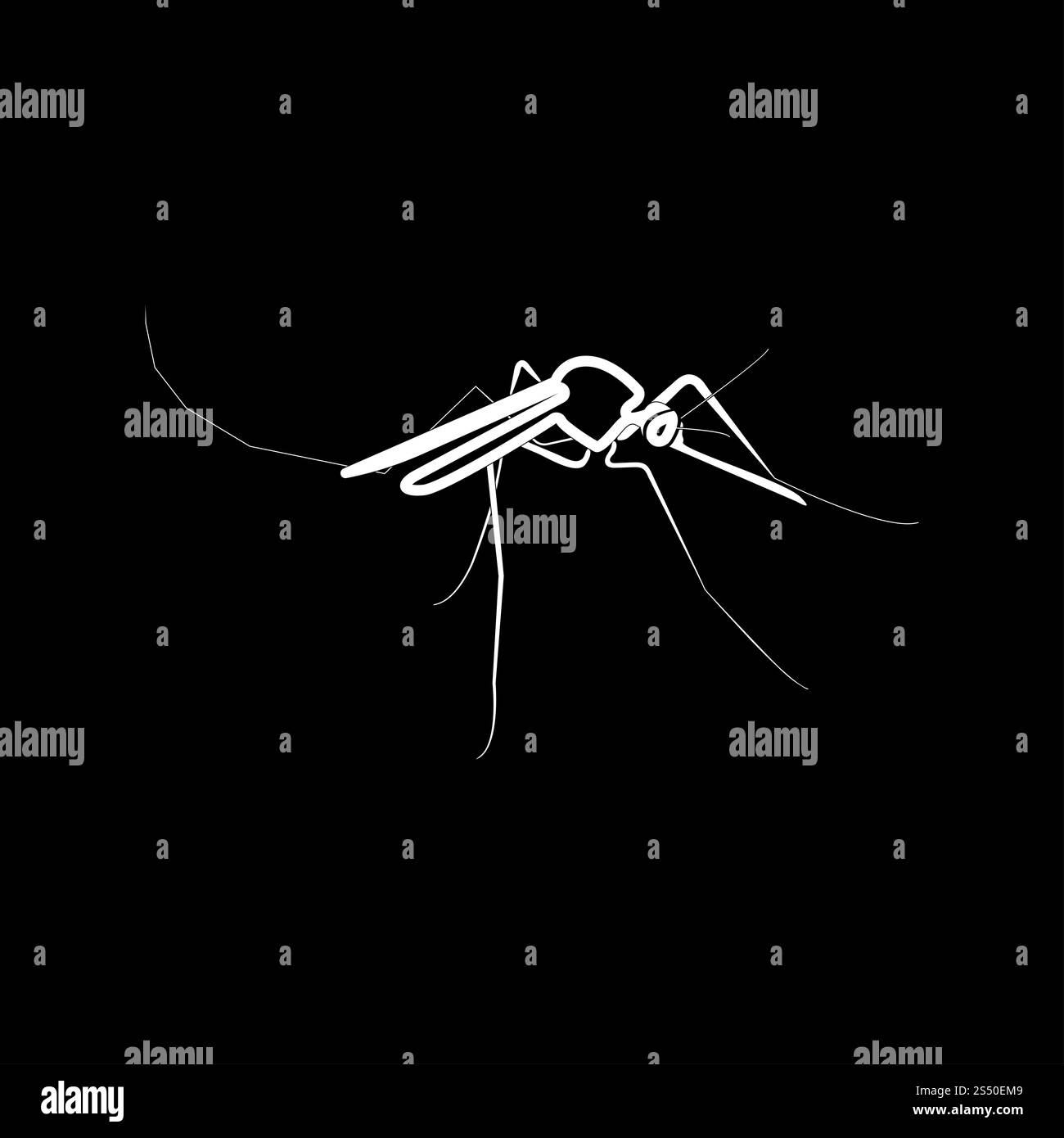 Icona zanzara . Foto Stock