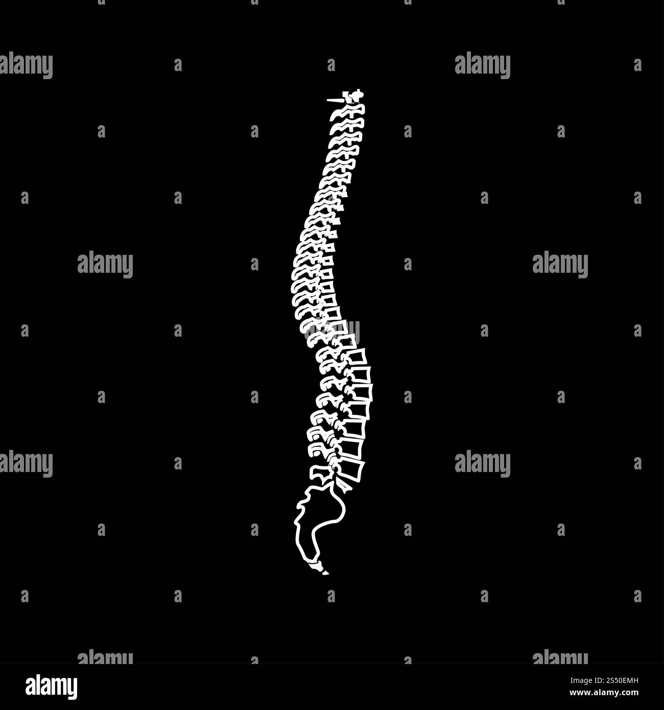 Icona colonna vertebrale . Foto Stock