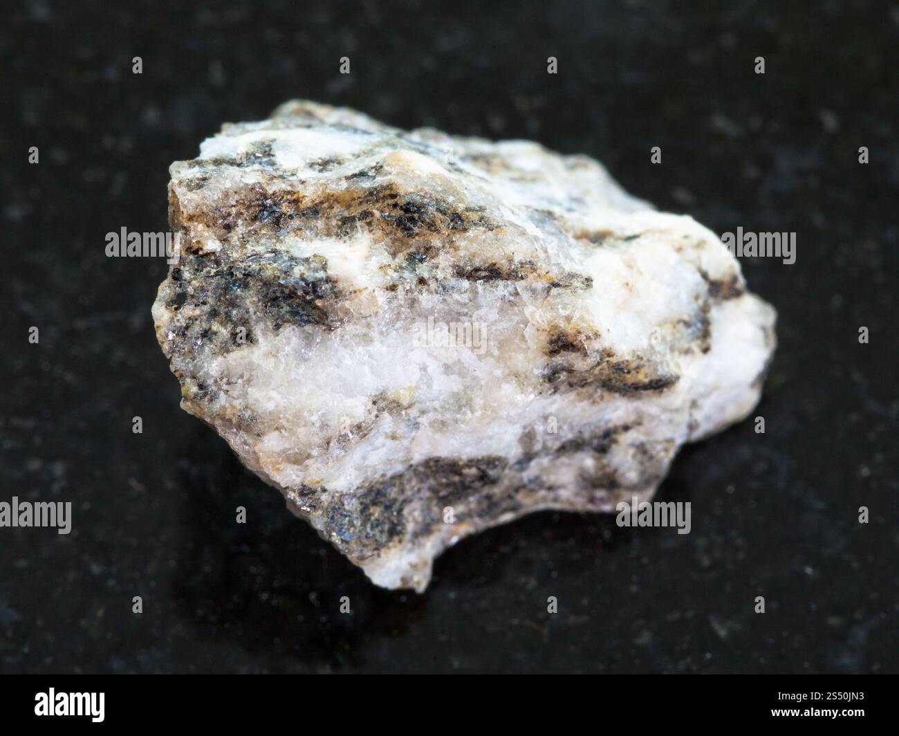 Le riprese in modalità macro di minerale naturale campione di roccia - Gneiss sulla pietra di granito scuro dello sfondo Foto Stock