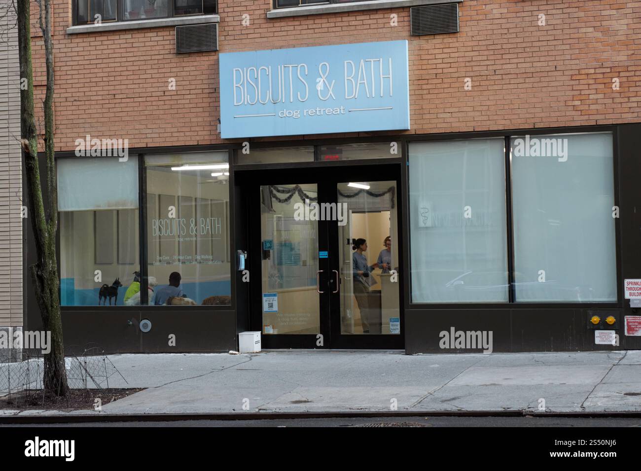 Un centro benessere con biscotti e rifugio per cani di Bath, asilo per cani, a Manhattan, New York Foto Stock