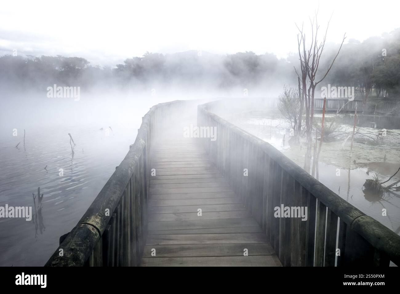 Ponte su un lago nebbioso nell'area vulcanica di Rotorua, nuova Zelanda. Ponte su un lago nebbioso a Rotorua, nuova Zelanda Foto Stock