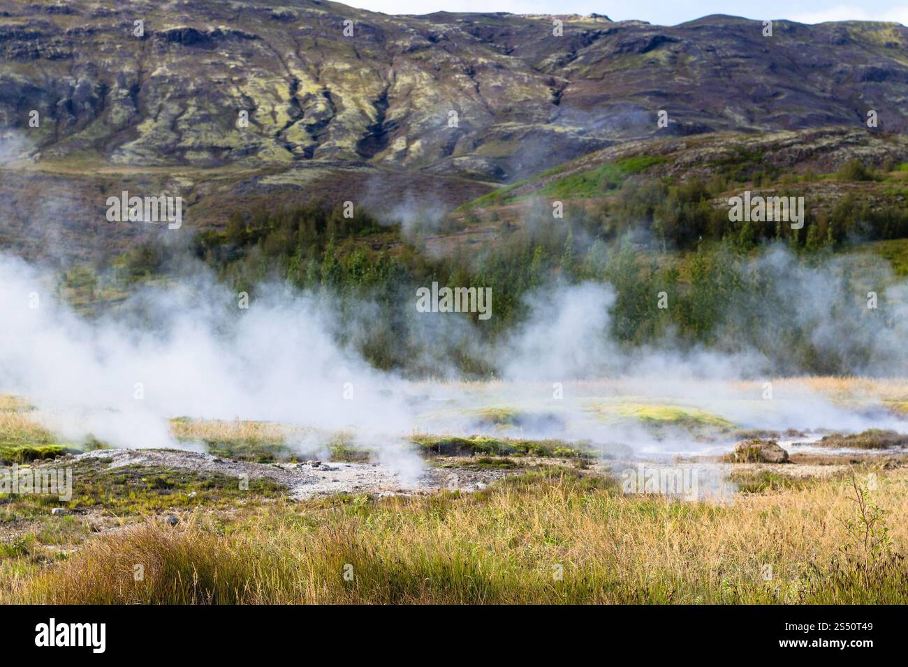 Viaggio in Islanda - Vista di Haukadalur geyser area in autunno Foto Stock Viaggio in Islanda - Vista di Haukadalur geyser area in autunno Foto Stock