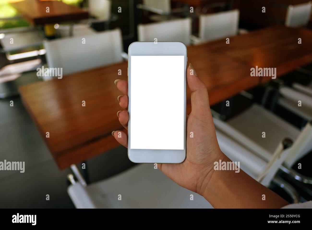 Primo piano delle mani delle donne che tengono il telefono cellulare schermo di copia vuoto. smartphone con concetto tecnologico Foto Stock