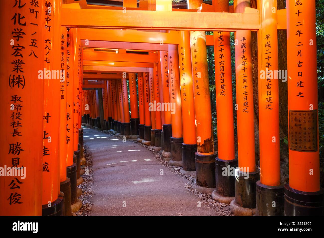 Santuario Fushimi Inari Taisha torii, Kyoto, Giappone. Fushimi Inari Taisha torii, Kyoto, Giappone Foto Stock