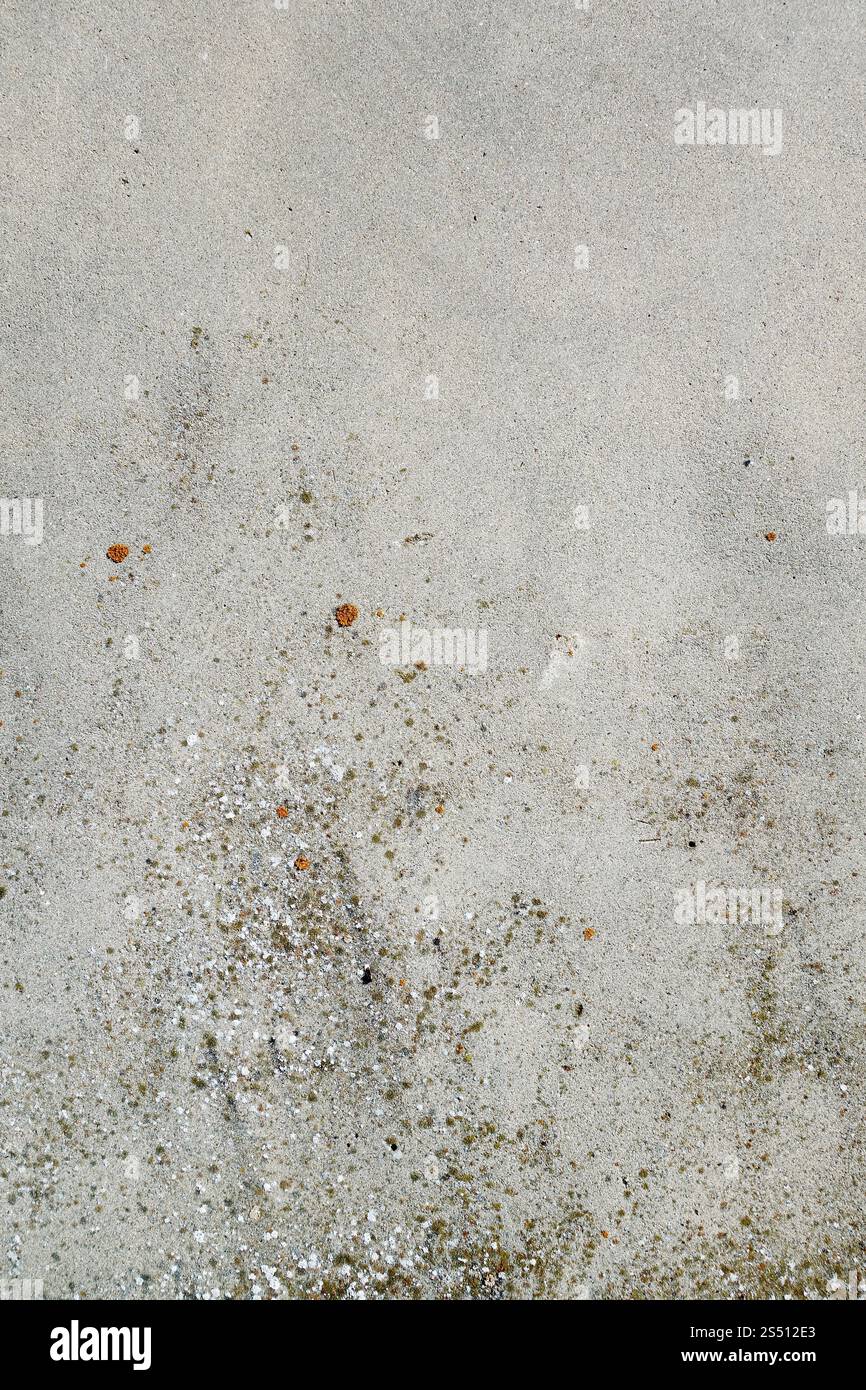 Sfondo testurizzato con dettagli sulle vecchie pareti in cemento. Sfondo. Sfondo texture dettaglio parete in cemento Foto Stock