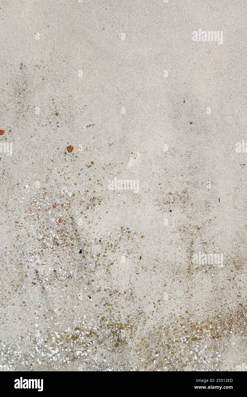Sfondo testurizzato con dettagli sulle vecchie pareti in cemento. Sfondo. Sfondo texture dettaglio parete in cemento Foto Stock