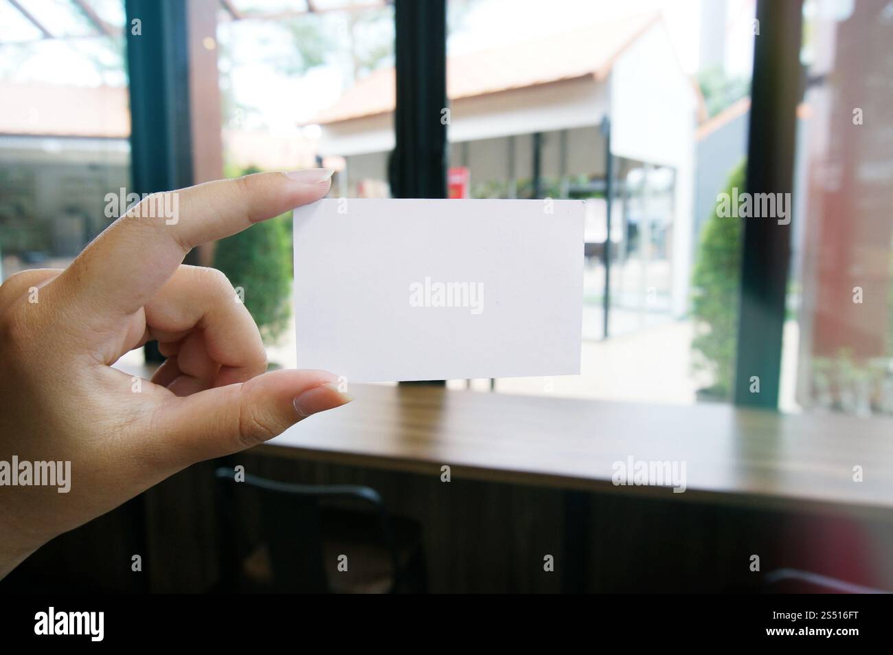 Close up delle donne mani tenendo business nome scheda vuota copia schermata dello spazio. Foto Stock