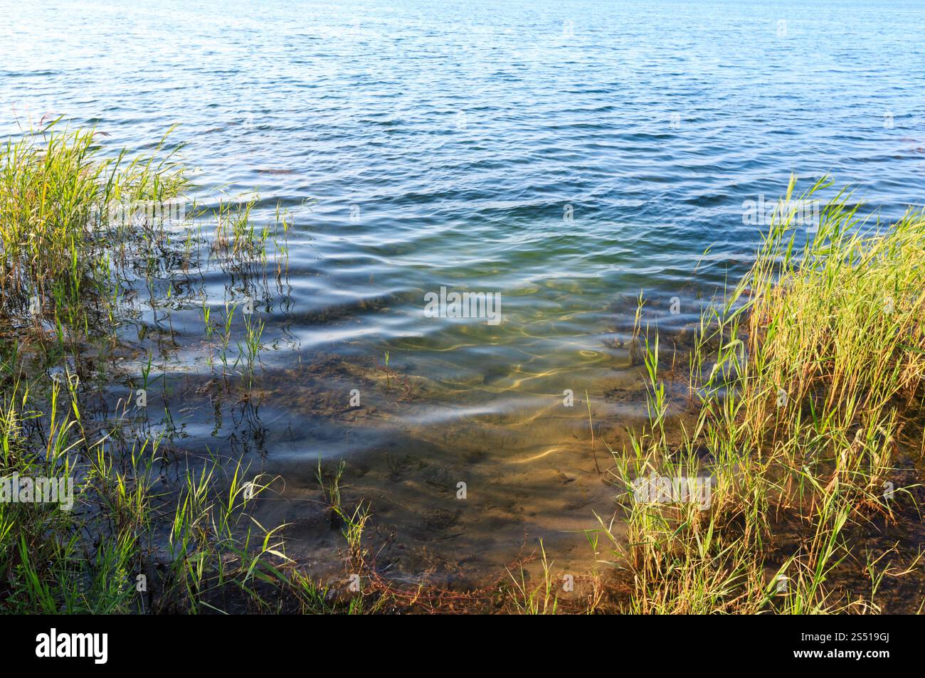Il pittoresco lago di estate calma rushy shore. Concetto della tranquilla vita di paese, eco-turismo, camping, pesca. Foto Stock
