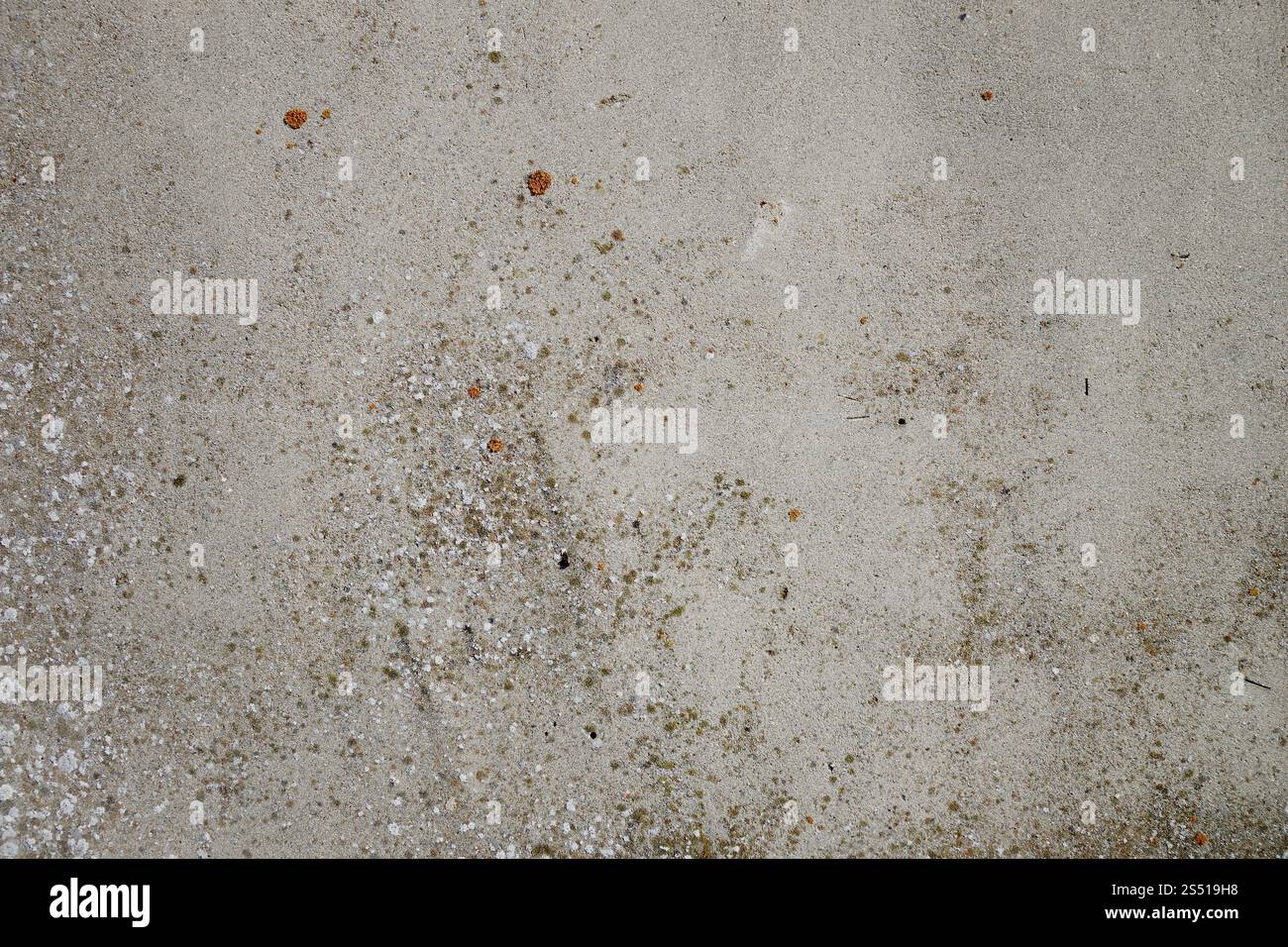 Sfondo testurizzato con dettagli sulle vecchie pareti in cemento. Sfondo. Sfondo texture dettaglio parete in cemento Foto Stock