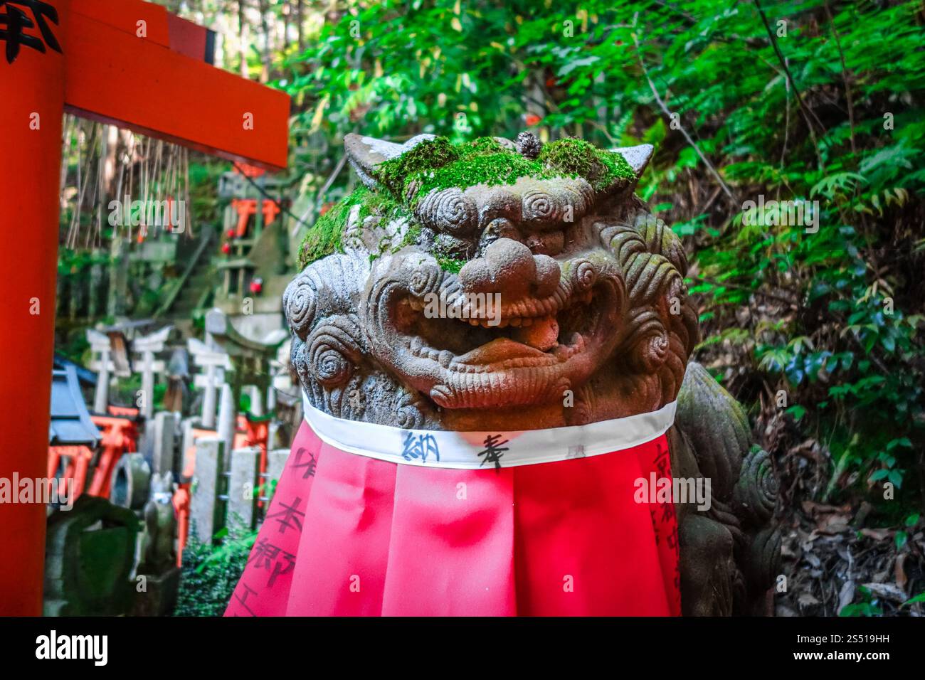 Statua del Leone al santuario Fushimi Inari Taisha torii, Kyoto, Giappone. Statua del Leone a Fushimi Inari Taisha, Kyoto, Giappone Foto Stock