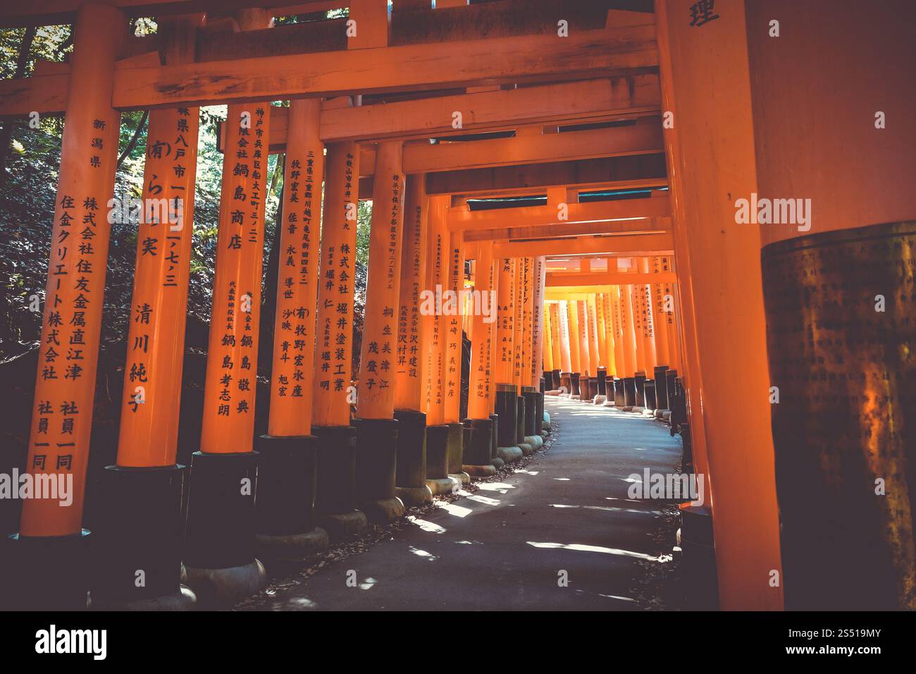 Santuario Fushimi Inari Taisha torii, Kyoto, Giappone. Fushimi Inari Taisha torii, Kyoto, Giappone Foto Stock