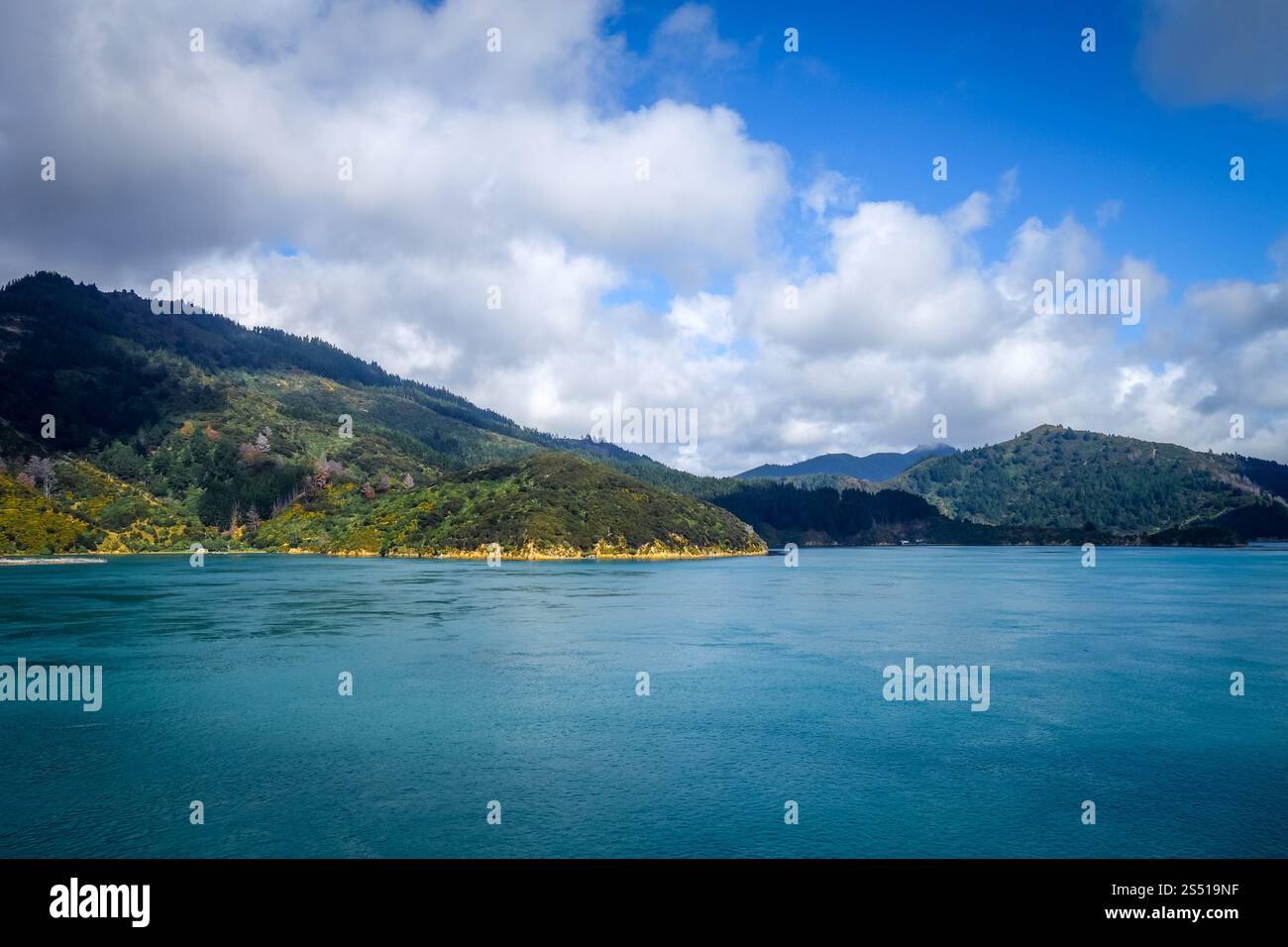 Marlborough suona costa e colline, nuova Zelanda. Marlborough Sounds, nuova Zelanda Foto Stock