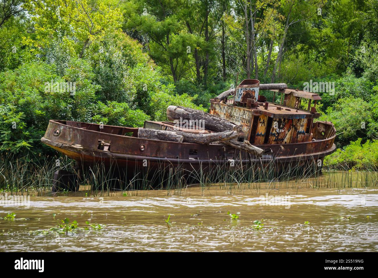 Vecchia barca arrugginita sul delta del fiume Tigre. Buenos Aires. Vecchia barca sul delta del fiume Tigre. Buenos Aires Foto Stock