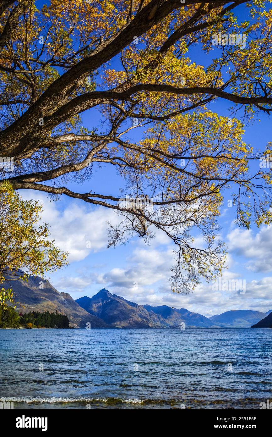 Alberi gialli vicino al lago Wakatipu, Queenstown, nuova Zelanda. Lago Wakatipu, nuova Zelanda Foto Stock