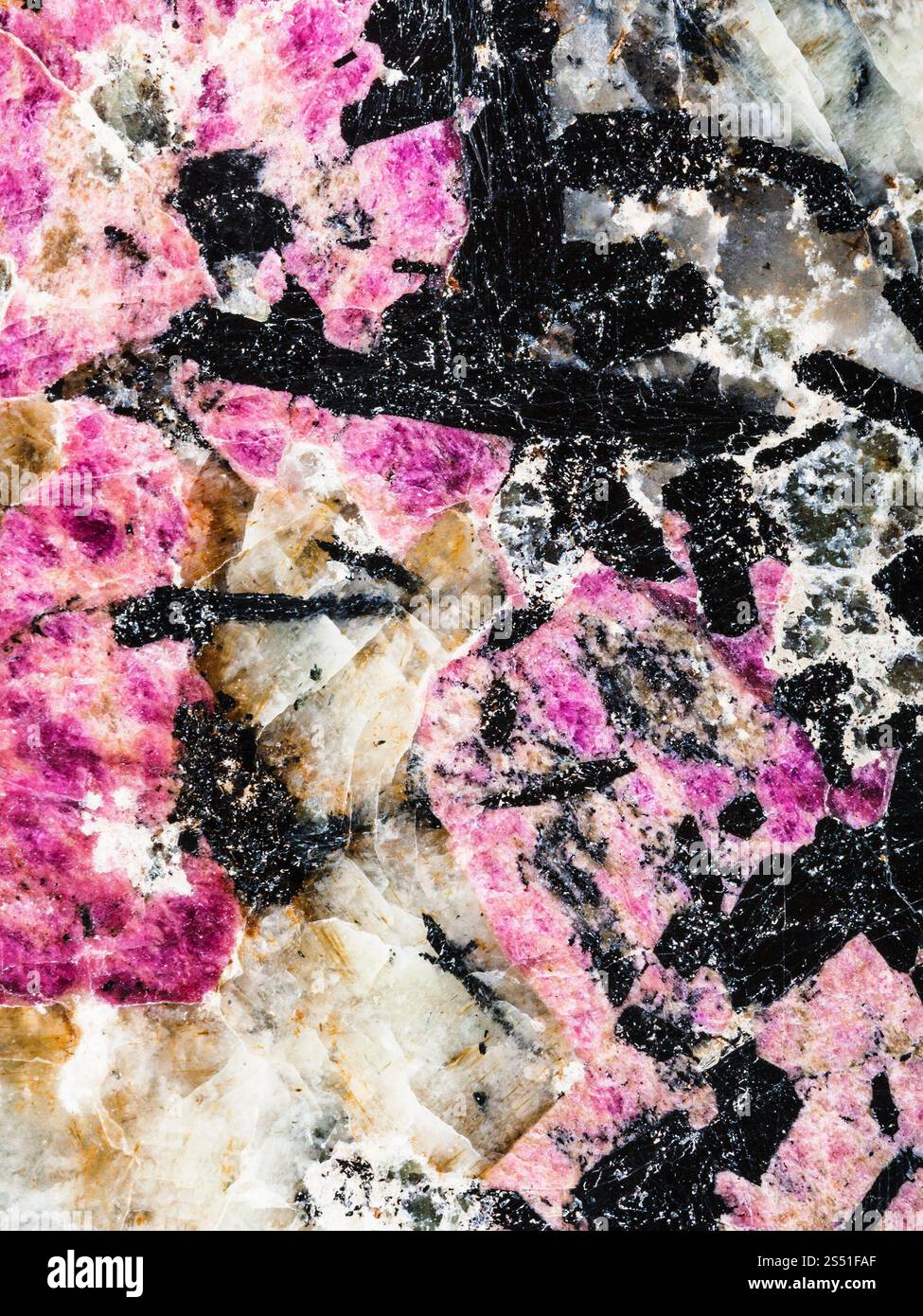 sfondo verticale da emodiite e aegirina. sfondo verico dal minerale di emodiite rosa lucido con cristalli di aegirine neri in sinite Foto Stock