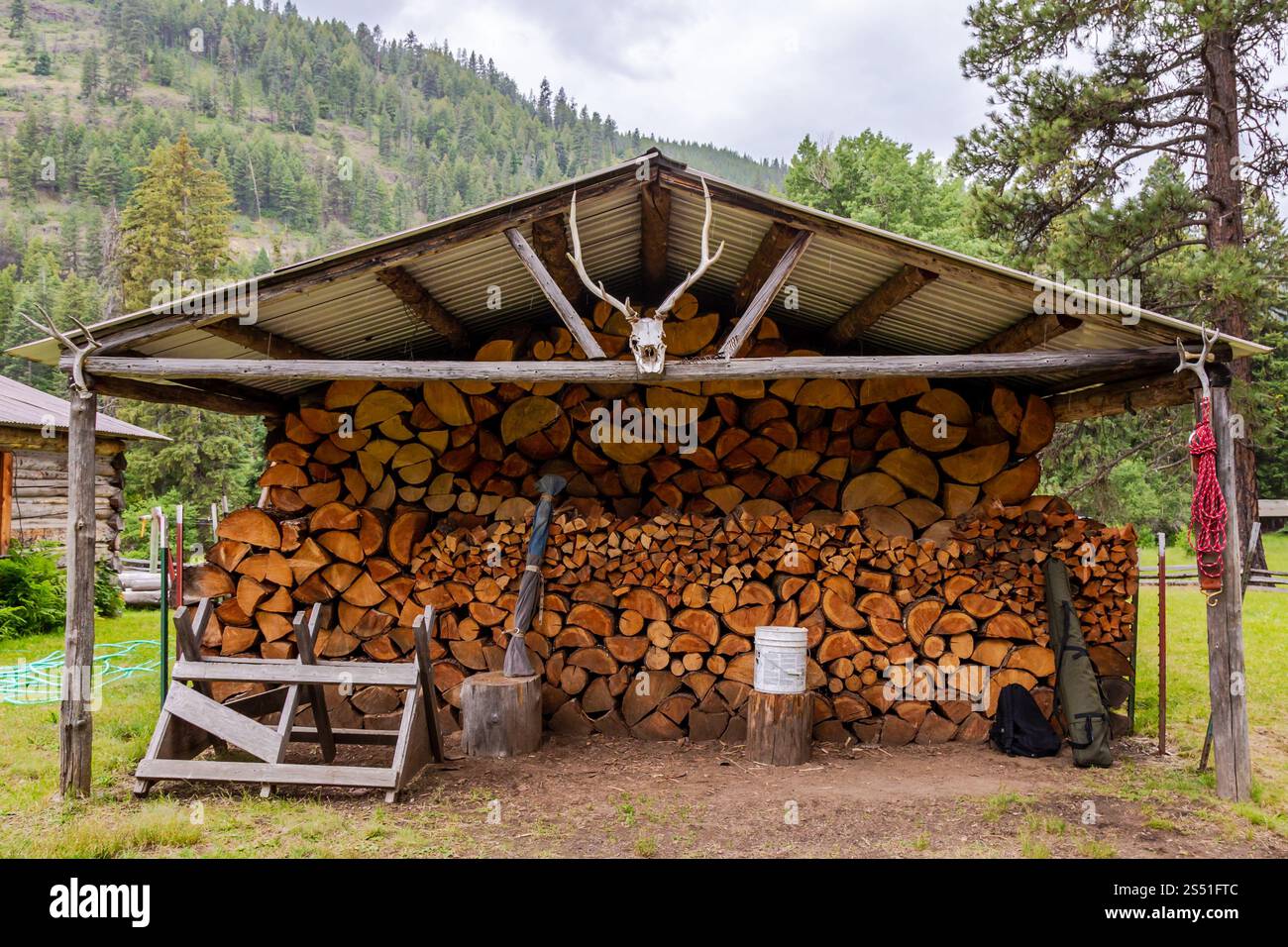 Capanna di legno con legna da ardere circondata da alberi in un paesaggio rurale, Red's Horse Ranch, Eagle Cap Wilderness, Oregon Foto Stock