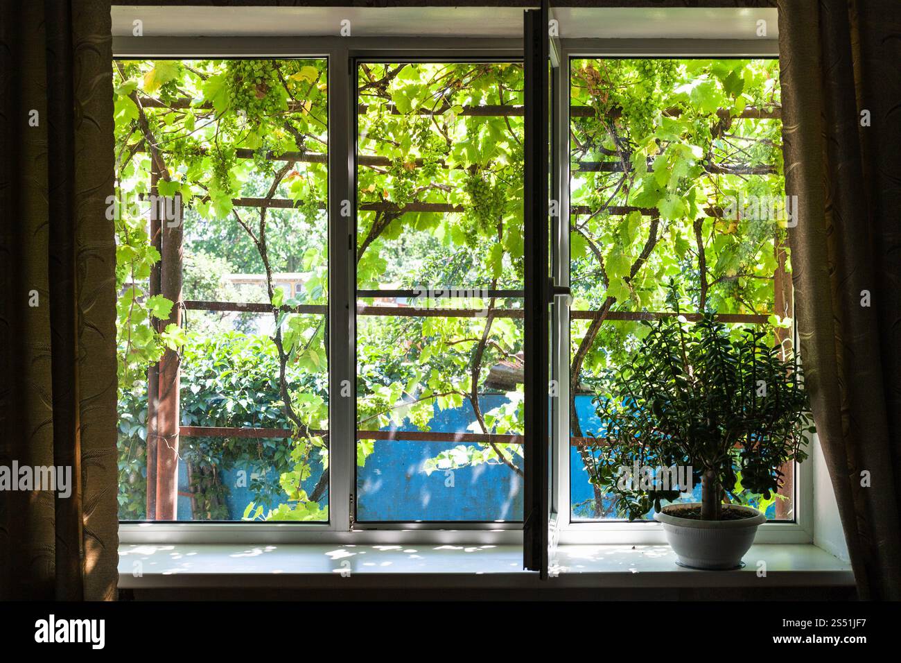 Finestra in cottage con pianta di casa nella soleggiata giornata estiva in Kuban regione della Russia Foto Stock