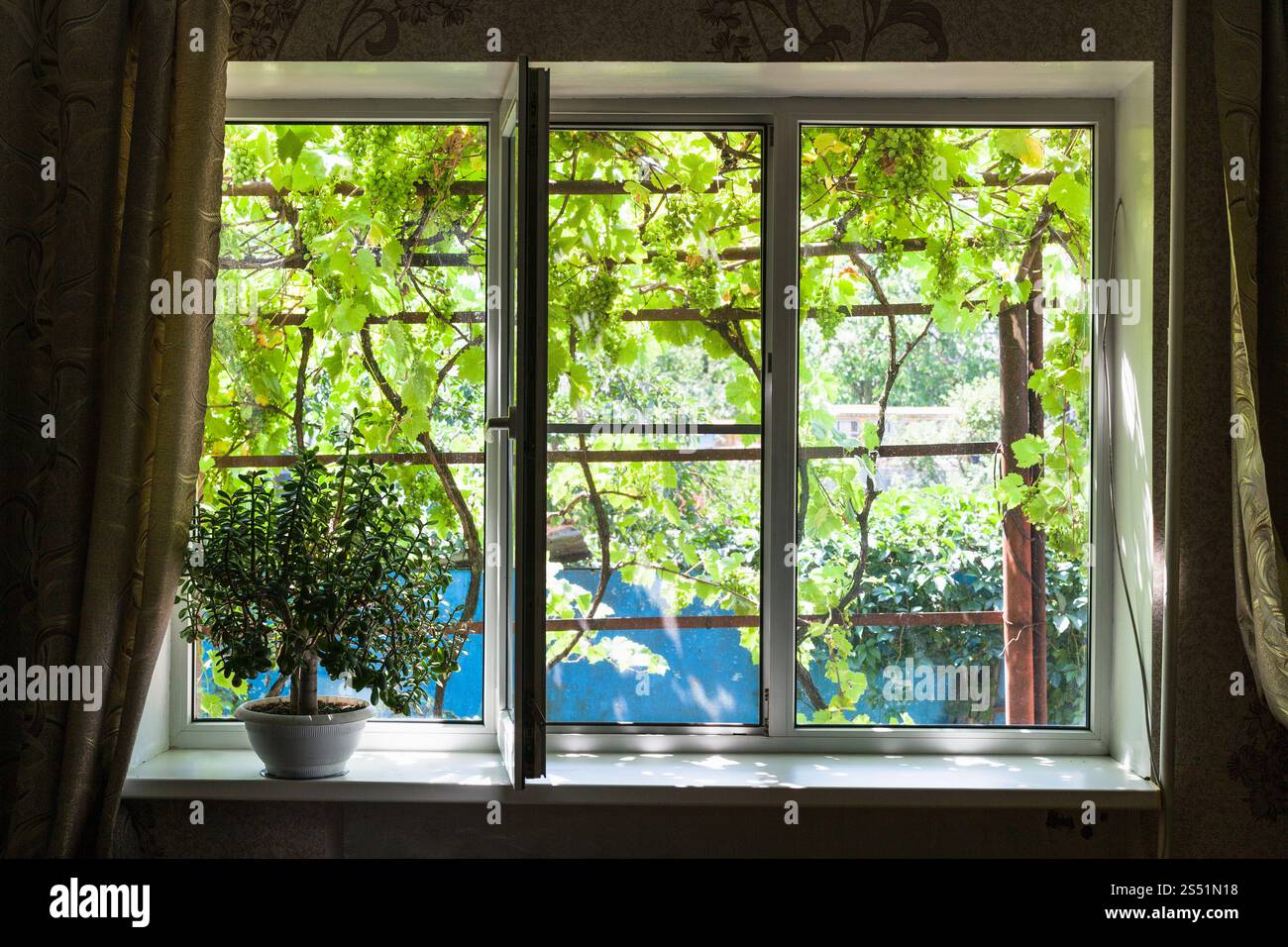 Finestra in country house con houseplant nella soleggiata giornata estiva in Kuban regione della Russia Foto Stock